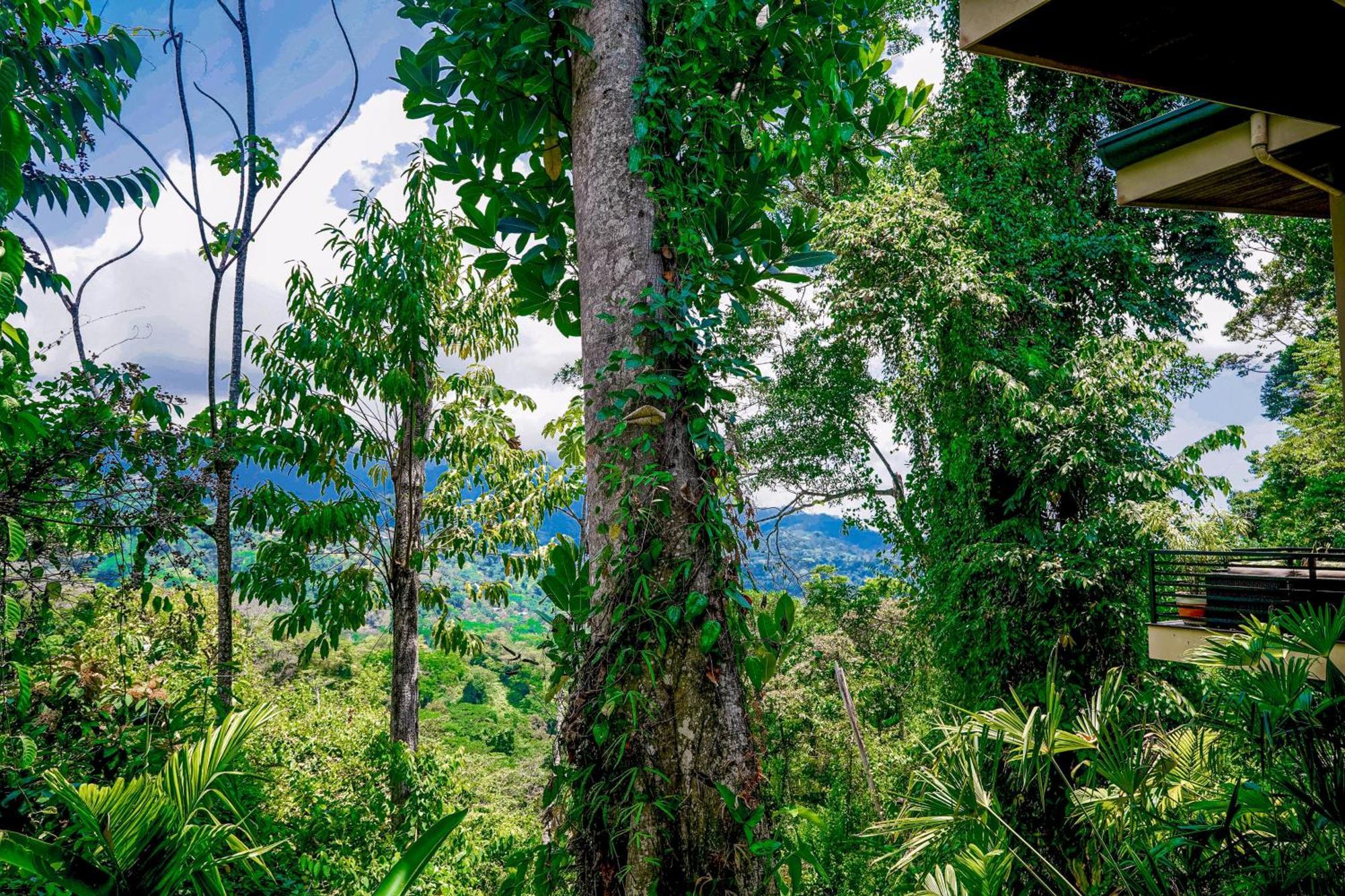 Casa Vista Verde Uvita Luaran gambar