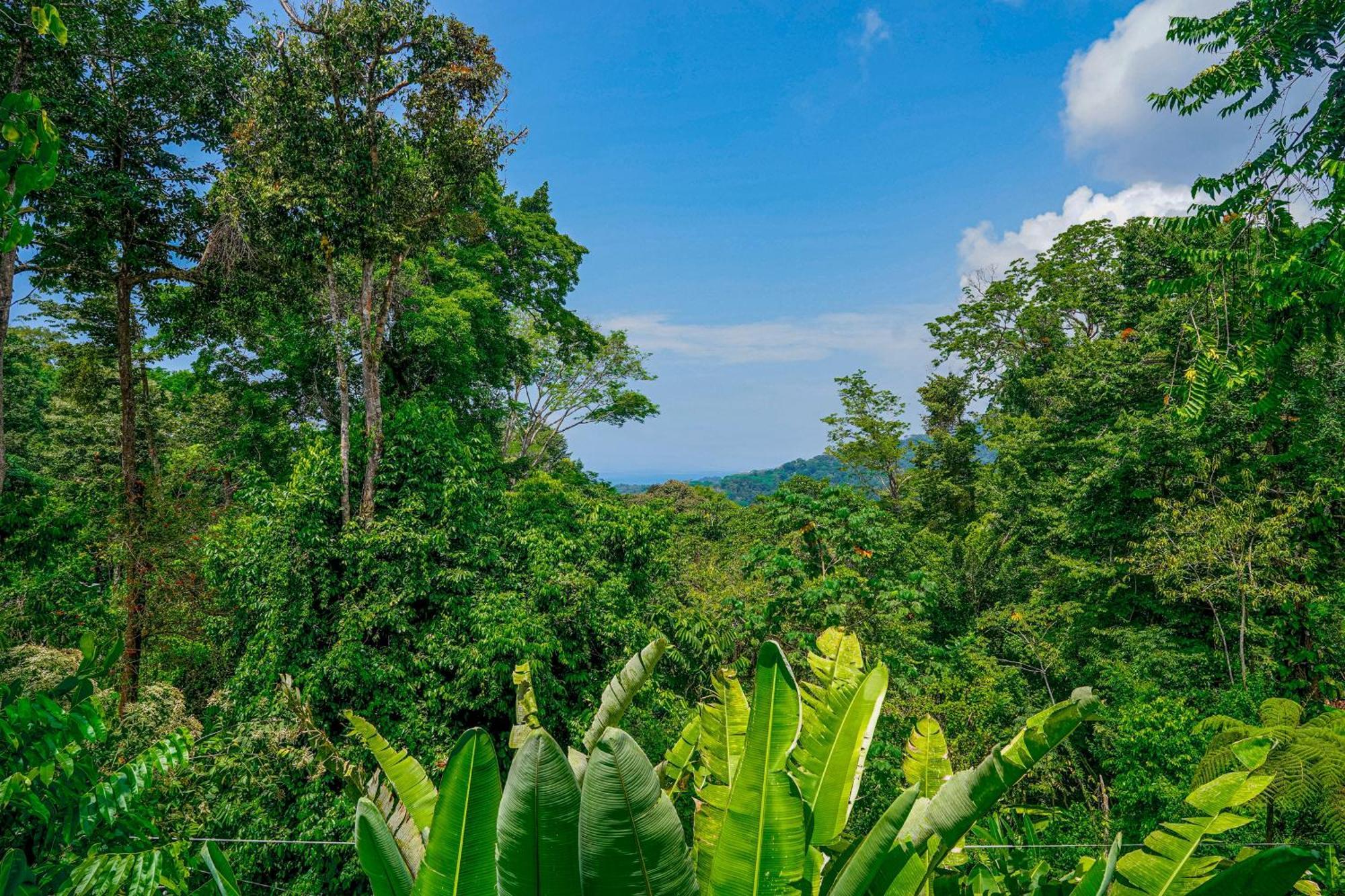 Casa Vista Verde Uvita Luaran gambar